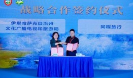 伊犁文旅局爆料新闻视频,新闻视频背后的精彩故事