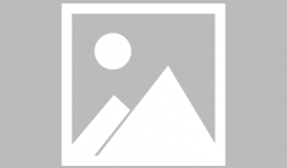 撸友在线观看,畅享虚拟互动新体验